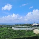 중문그린힐통나무펜션 이미지