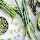 (주)온들에 이미지