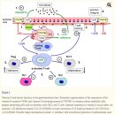 Re:Re The Role of Vitamin D in Inflammatory Bowel Disease: Mechanism to Management 이미지