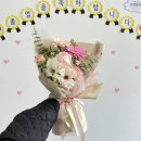 러블리플레르 이미지