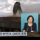 다국적식탁 이미지