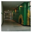 솔빛초등학교 이미지