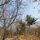 바다향그대로 이미지