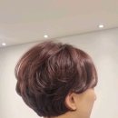 시니어미용실