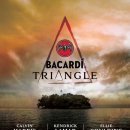 트라이앵글럼 이미지