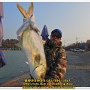 말봉바다낚시터 이미지