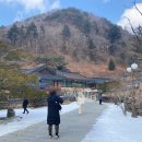 대흥프라자(주) | [역장투어 여행후기] 태백산 눈축제/ 백두대간만항재 후기