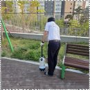 전문방역업체 벌레잡는 총각들로 우리 집 방역 성공적 후기