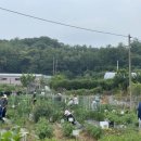 구로농장 이미지