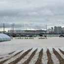 나성동_다정교 이미지