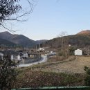 2025년 12월 6일(토) 김장배추 수확과 배추 절임하다. 이미지