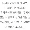 이곳은세차장 이미지