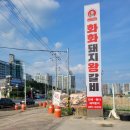 화화돼지왕갈비문성점 | [구미 문성] 대왕갈비/매콤 대왕갈비 후기 [화화돼지왕갈비]