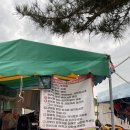 도그싸롱 | 양양 멍비치 다녀온 후기!(위치/ 주차/ 입장료/ 입장료 할인 꿀팁/ 강아지 샤워시설/ 사람 샤워시설...