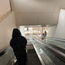 터미널약국 | 오사카 간사이공항 2터미널 피치항공 후기(MM705)&amp;2터미널 면세점, 면세품, 약국 쿠스리