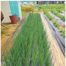 힐링농장 이미지