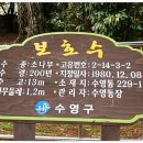 수영사적공원 Daum카페