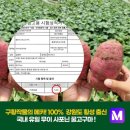 뉴터