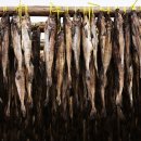 해우건어물 이미지