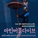 진솔수중레저샵 | [창원/부산] 창원 프리다이빙 강습은 PADI 엘리트 강사 센터 프이다이빙 체험 후기!