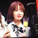 오이이 이미지