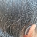 부천연세보청기 | 부천보청기센터 어디로 갈지 고민하다가 직접 방문해본 후기