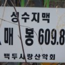 응봉 정상 이미지