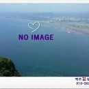 제주성산공인중개사사무소 이미지