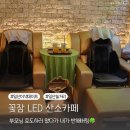 일산 실내데이트 꽃잠 LDE 산소카페 부모님 효도 안마