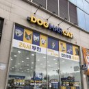 도그마캣 - 당진시 무수동6길 7-42 | 남악 강아지 고양이 간식 도그마캣 내돈내산 후기