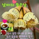 날마다좋은날 Daum카페