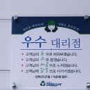 크린토피아민락 이미지