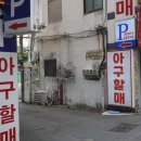 오동동055 이미지