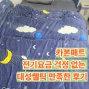 대성세탁 | 카본매트 전기요금 걱정 없는 대성쎌틱 만족한 후기