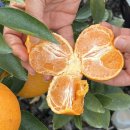 한라앤탐 이미지