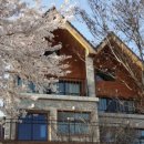 오번풀빌라 이미지