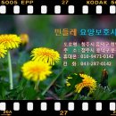 민들레요양보호사교육원