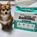 요술강아지 | 가성비 강아지 배변패드 추천 페츠모아 요술배변패드 냄새걱정 안녕