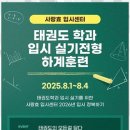 국가대표 효 태권도 이미지