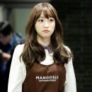 하니 Daum카페