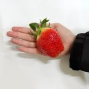달콤아삭