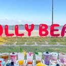 할리베어(HOLLY BEAR)