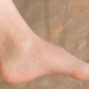 자주마리 이미지