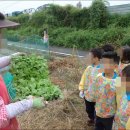 혜성 유치원 이미지