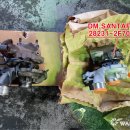 레퍼드모터스 이미지