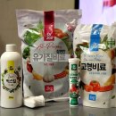 벅스킬
