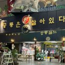 다이소아산퍼스트 이미지