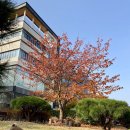 메르시도꾸 네이버블로그
