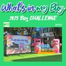 한강미디어고등학교 | [블챌] 2025 '시월의 선유' 축제 둘째 날 구경🎉