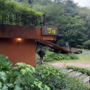 별채 | 제천 포레스트리솜 식당 추천 한식주점 별채 후기 (파전+막걸리)